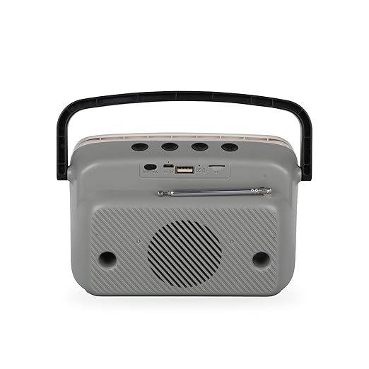 Zebronics Astra 10 Portable Wireless BT v5.0 Speaker, 10W RMS Power, 15* Hours Backup, 2.25" Drive Size, up to 6.4" Mobile Holder Support, Carry Handle, USB, mSD, AUX Input and FM Radio